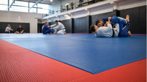 Kako odabrati tatami i strunjače za borilačke sportove?