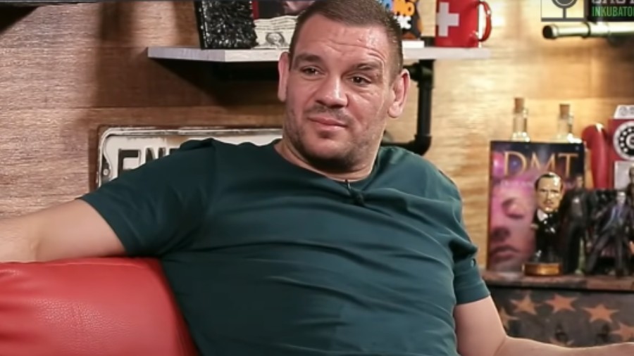 Ante Delija: "CroCop je fizički jači nego ikad!"