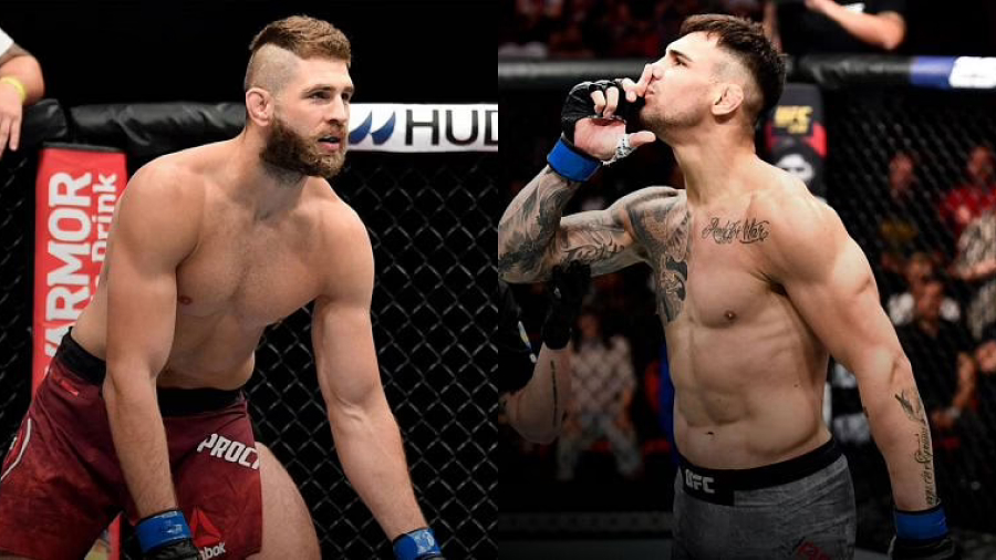 Blachowicz otkrio što želi vidjeti u budućnosti: Prochazka bi se trebao boriti protiv Rakića 