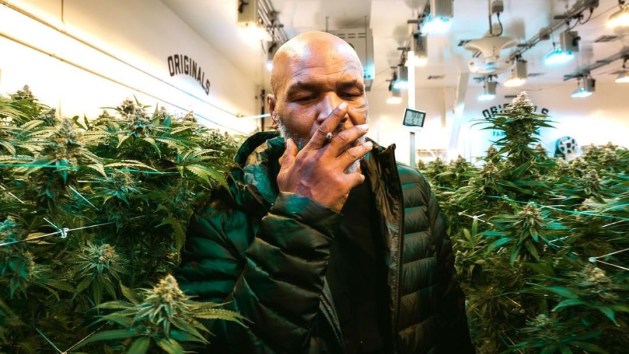Mike Tyson pušio marihuanu nekoliko trenutaka prije borbe s Jonesom